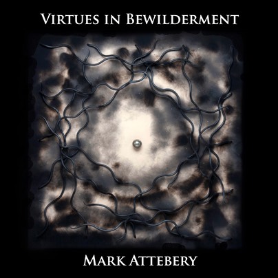 Virtues in Bewilderment Cover