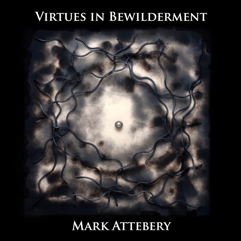 Virtues in Bewilderment Cover